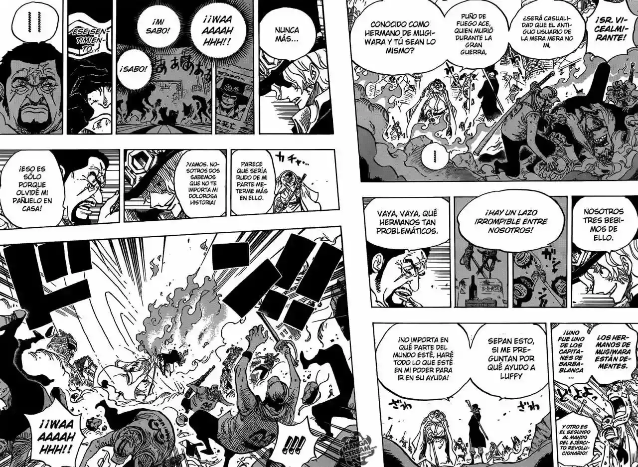 One Piece capítulo 751 página 9