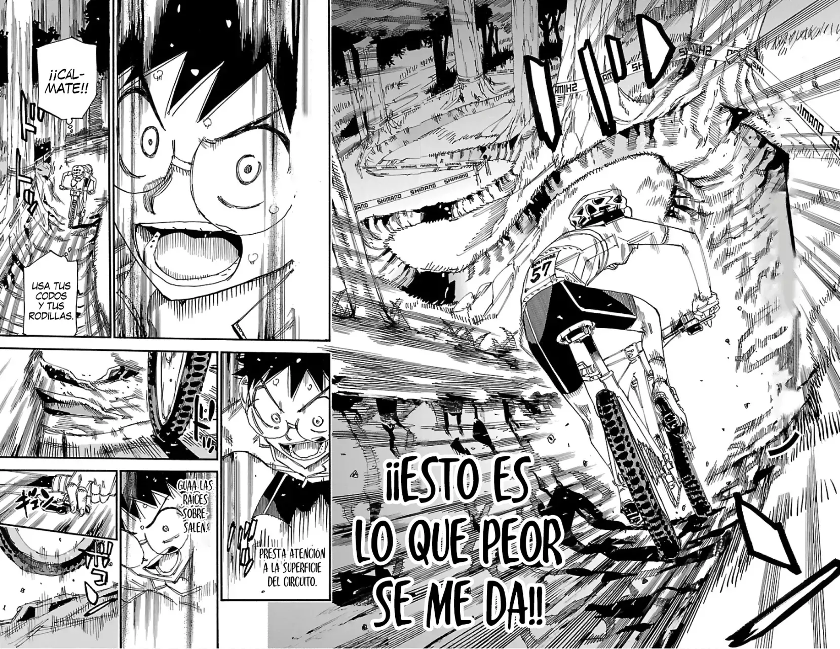 Yowamushi Pedal capítulo 583 página 12