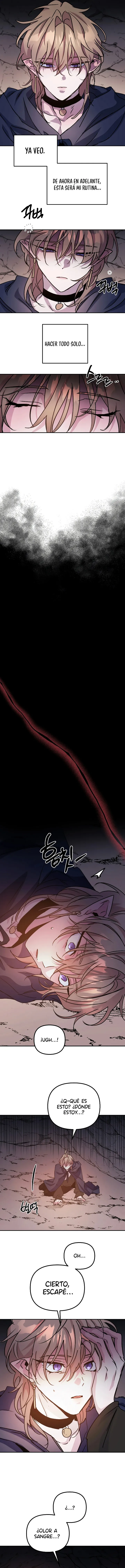 Caída Oscura (18) capítulo 81 página 8